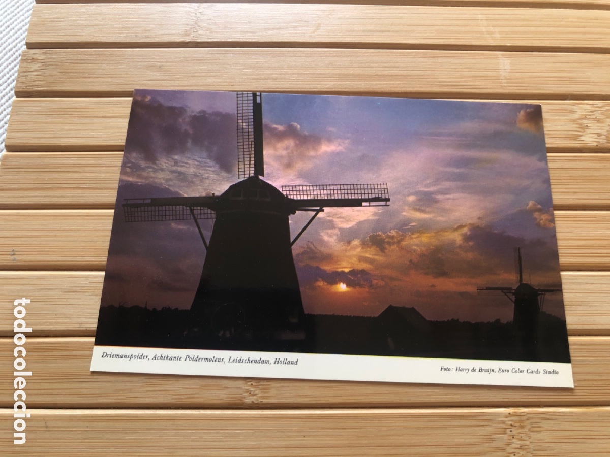 Postales: Postal Leidschendam. Holanda. Molinos. Caracter&iacute;sticas. Sin circular. ASM