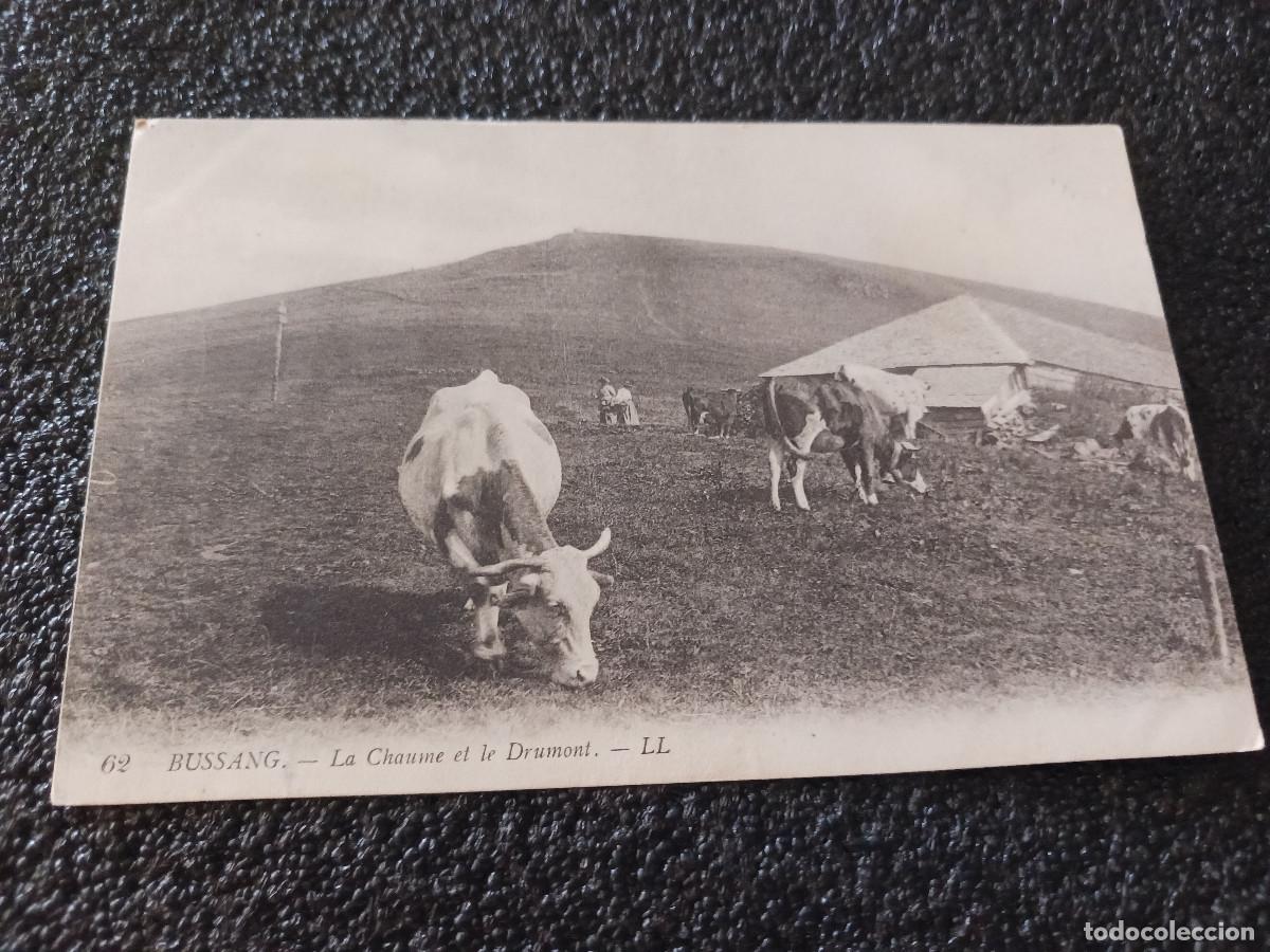 Postais: bussang la chaume et le drumont, circulada 1915