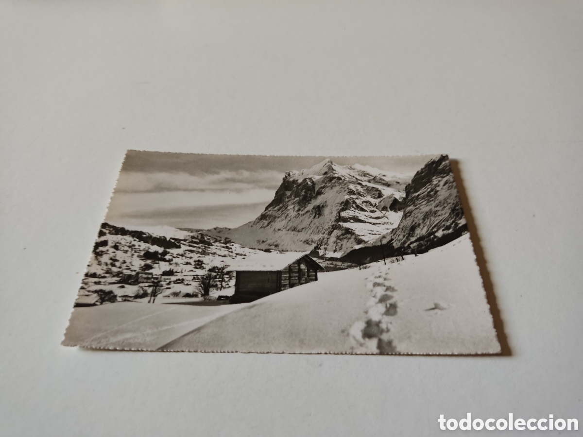Postales: Postal Grindelwald Suiza - Foto 1