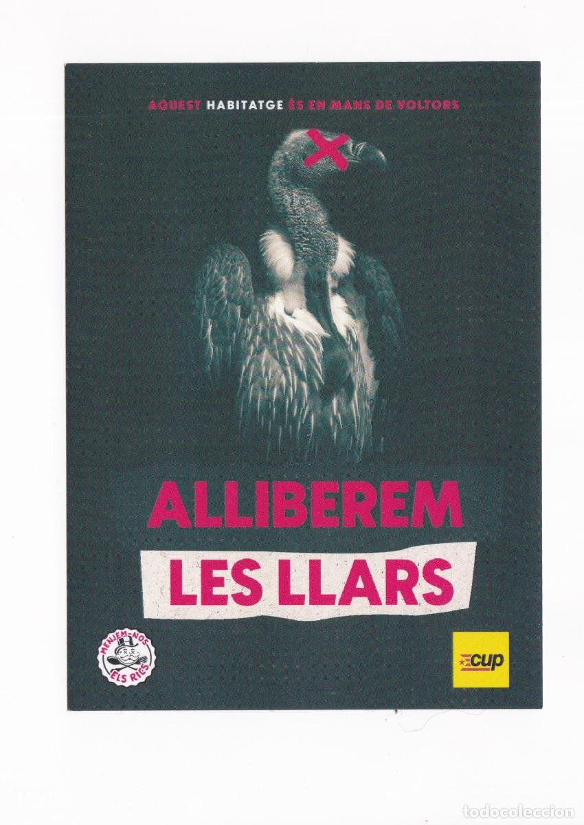 Postales: PEGATINA POLITICA ALLIBEREM LES LLARS ( CUP )