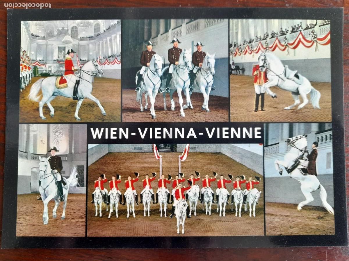Postales: Postal exhibici&oacute;n escuela de equitaci&oacute;n Espa&ntilde;ola en Viena Austria