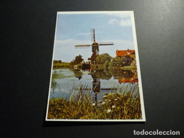 Cartes Postales: HOLANDA MOLINO DE VIENTO POSTAL