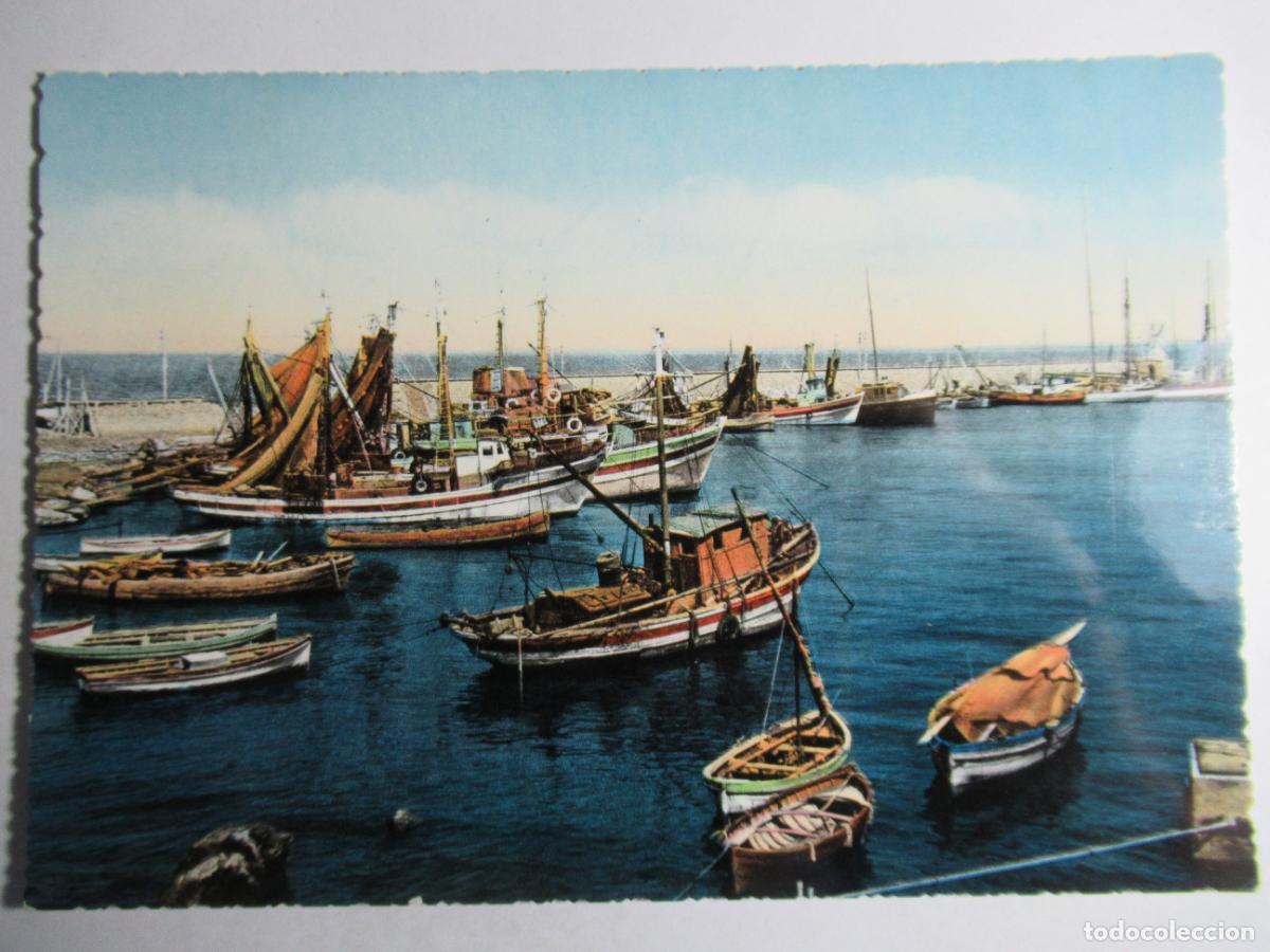 Cartes Postales: Postal Italia - Puerto Barcos