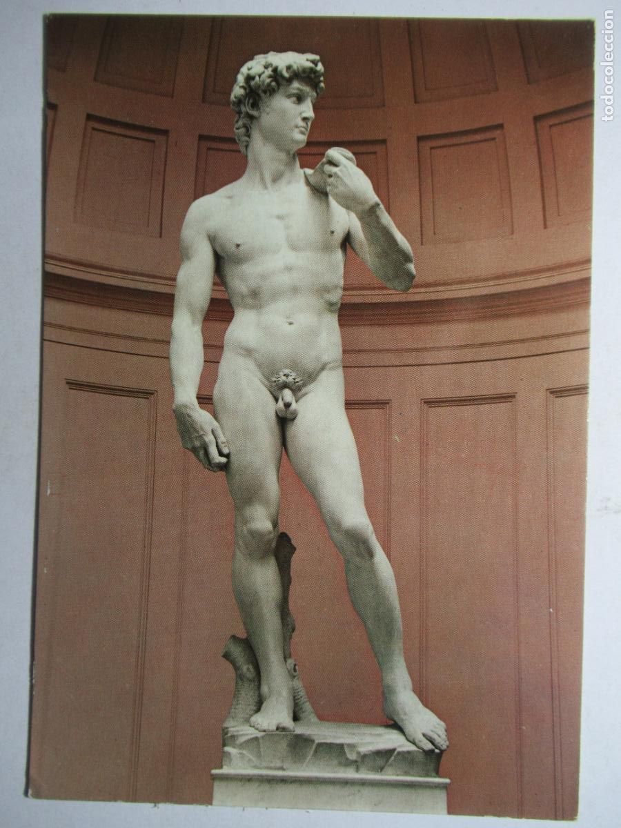 Postales: Firenze - David del Michelangelo - Foto 1