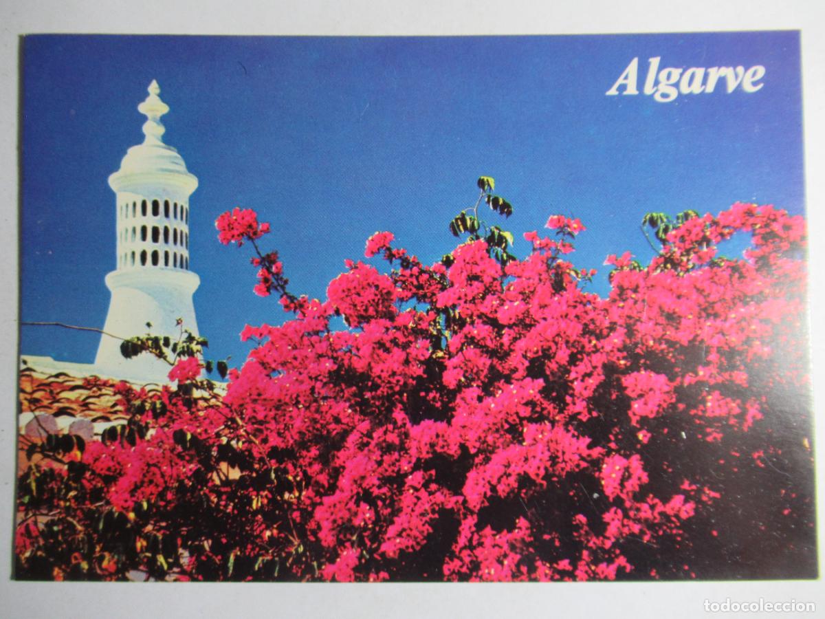 Postais: Algarve - Portugal S/C