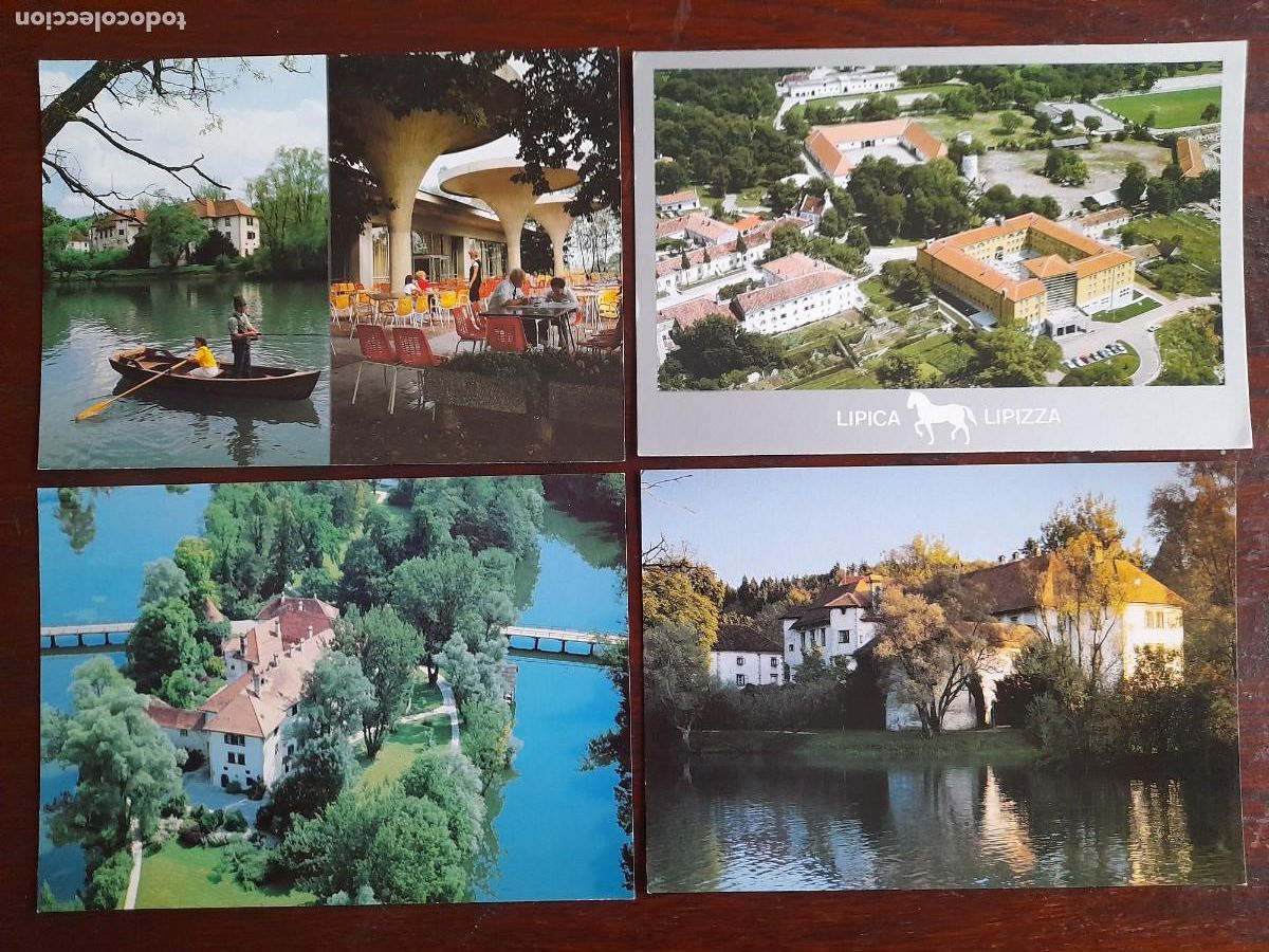Cartes Postales: Una postal Castle Otocec rio Krka poblacion Lipica caballo Lipizzanos Eslovenia 4 tarjetas a elegir