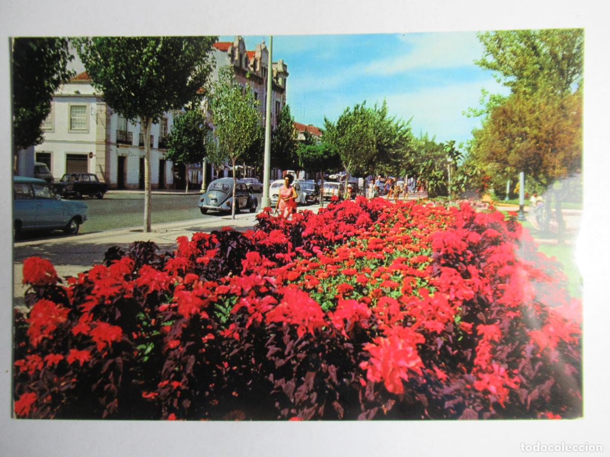 Postais: Algarve - Portugal - Vila Real de St. Antonio - Avenida da Rep&uacute;blica