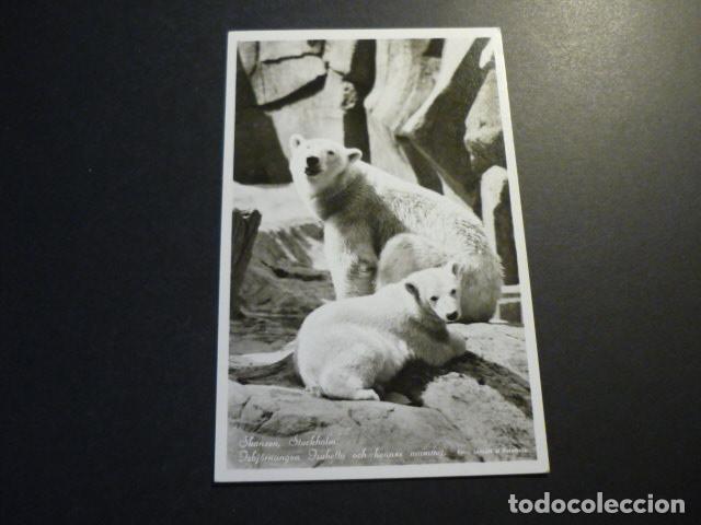 Postales: ESTOCOLMO SUECIA POSTAL - Foto 1