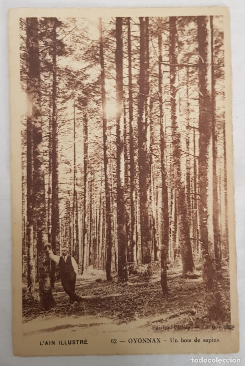 Cartoline: Antigua postal: L&acute;ain illustr&eacute;, Oyonnax, un bois de sapins (62) FRANCIA (Animada)