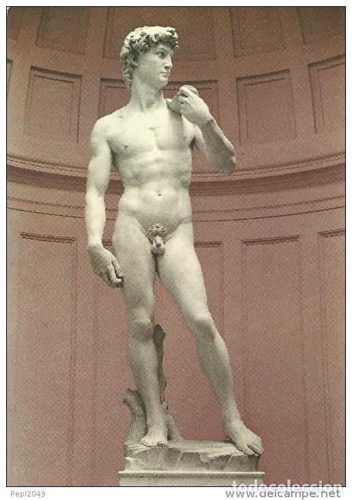 Postales: :::: A550 - POSTAL - FIRENZE - DAVID DEL MICHELANGELO - Foto 1