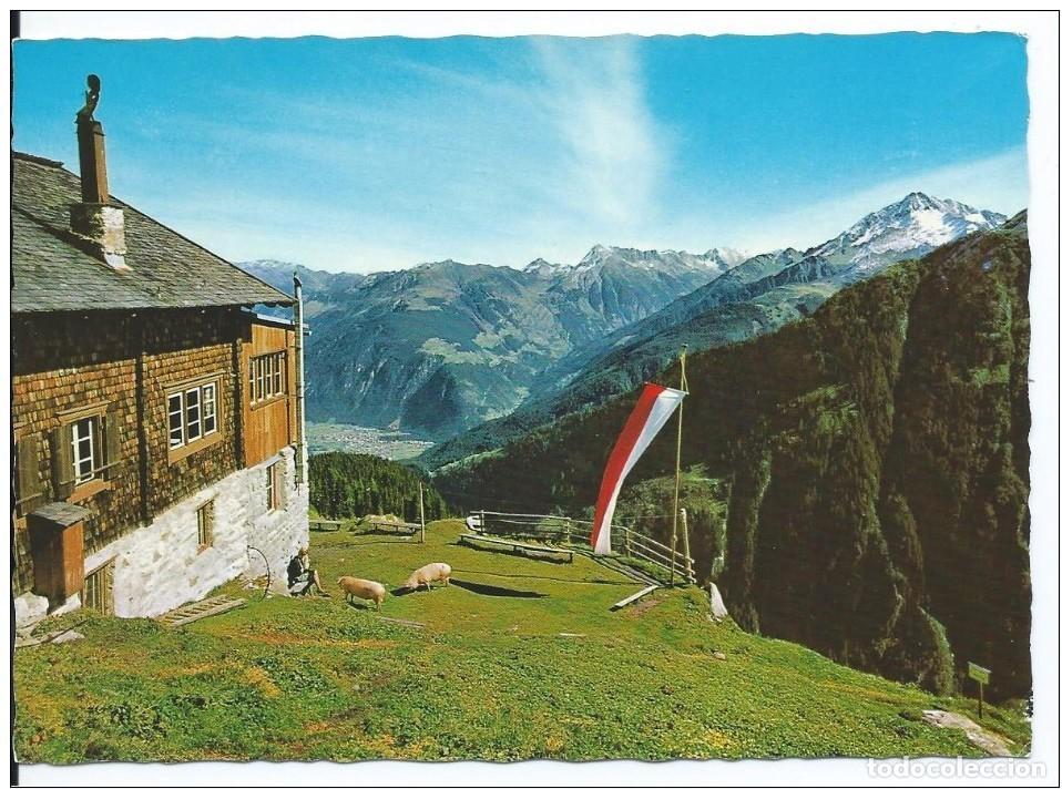Cartes Postales: GAMSHUTTE, 1916 m AM GRUNBERG.- ZILLERTAL / TIROL - AUSTRIA