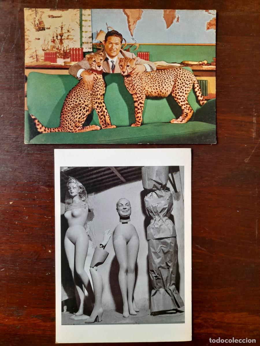 Cartes Postales: Una postal publicitaria Historia Gil Animali, o Pietro Donzeli Milan, Italia 2 tarjetas a elegir