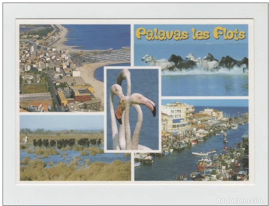 Postales: LITTORAL LANGUEDOCIEN.- PALAVAS-les-FLOTS.- FRANCIA