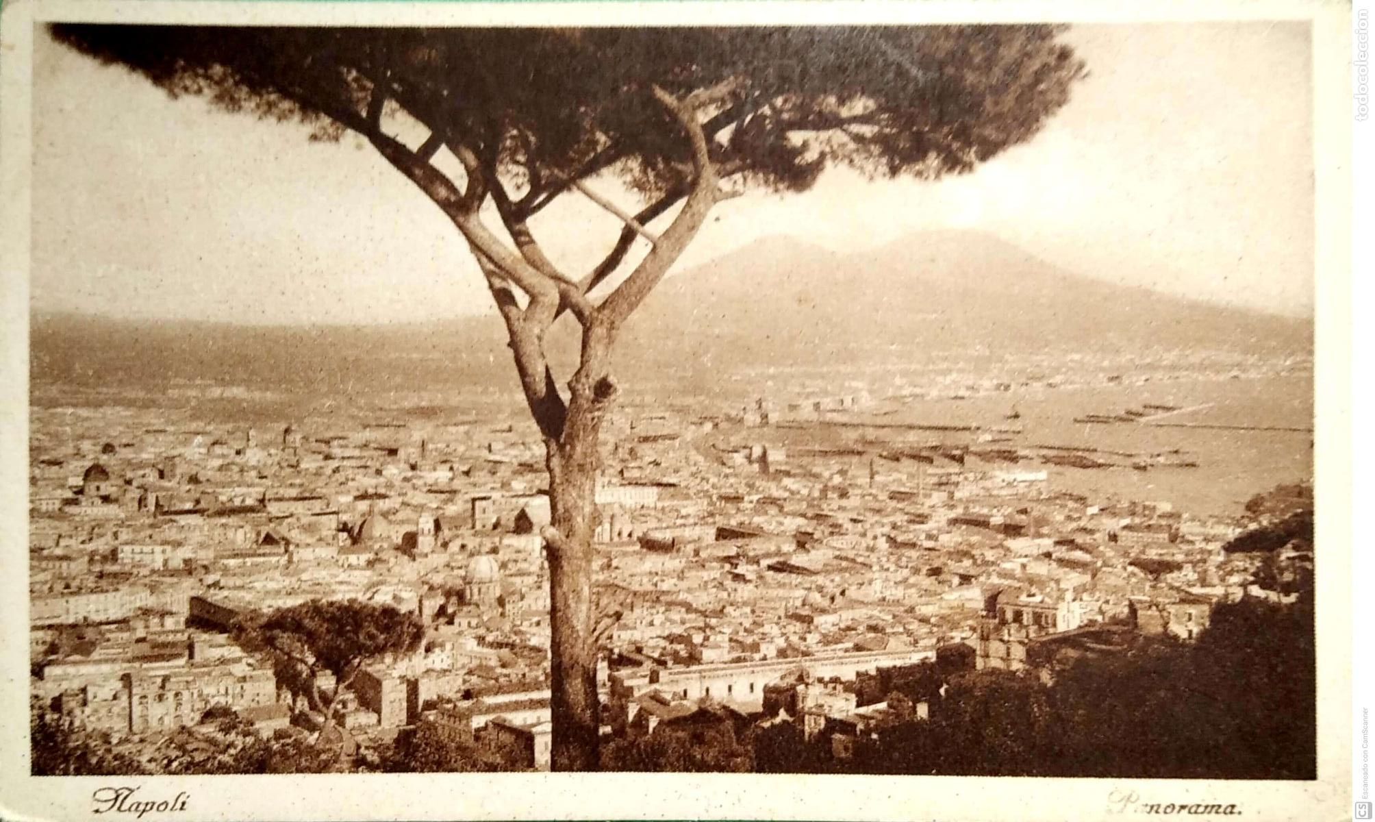 Postcards: N&aacute;poles. 536 Panor&aacute;mica. Nueva. Blanco/Negro