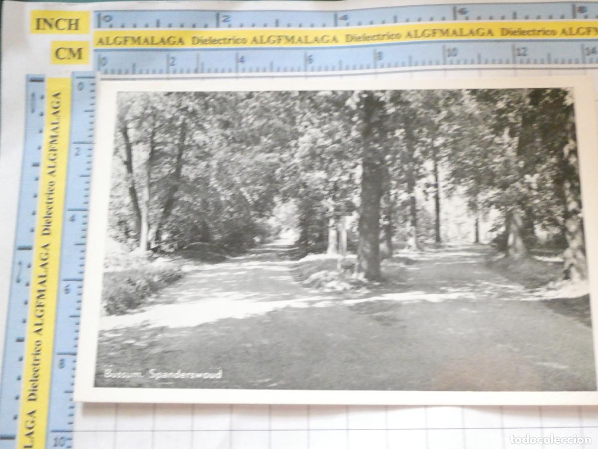 Postcards: POSTAL DE PAISES BAJOS. BUSSUM SPANDERSWOUD. 631
