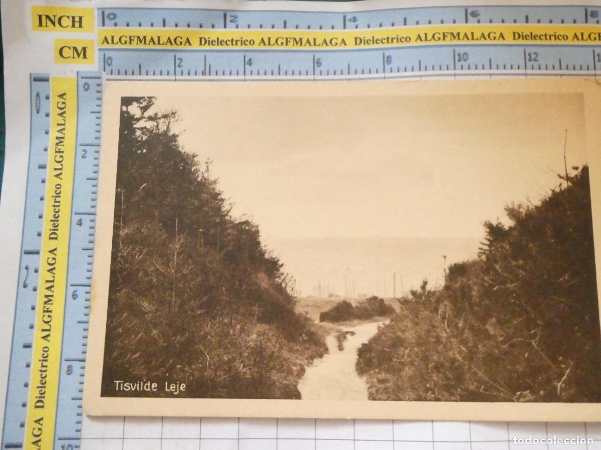Cartes Postales: POSTAL DE DINAMARCA TISVILDE LEJE. 650