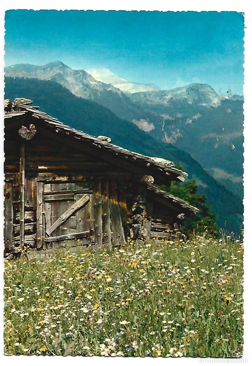 Cartoline: PLANINE / PRIRODA / KOLIBA.- SLOVAQUIA