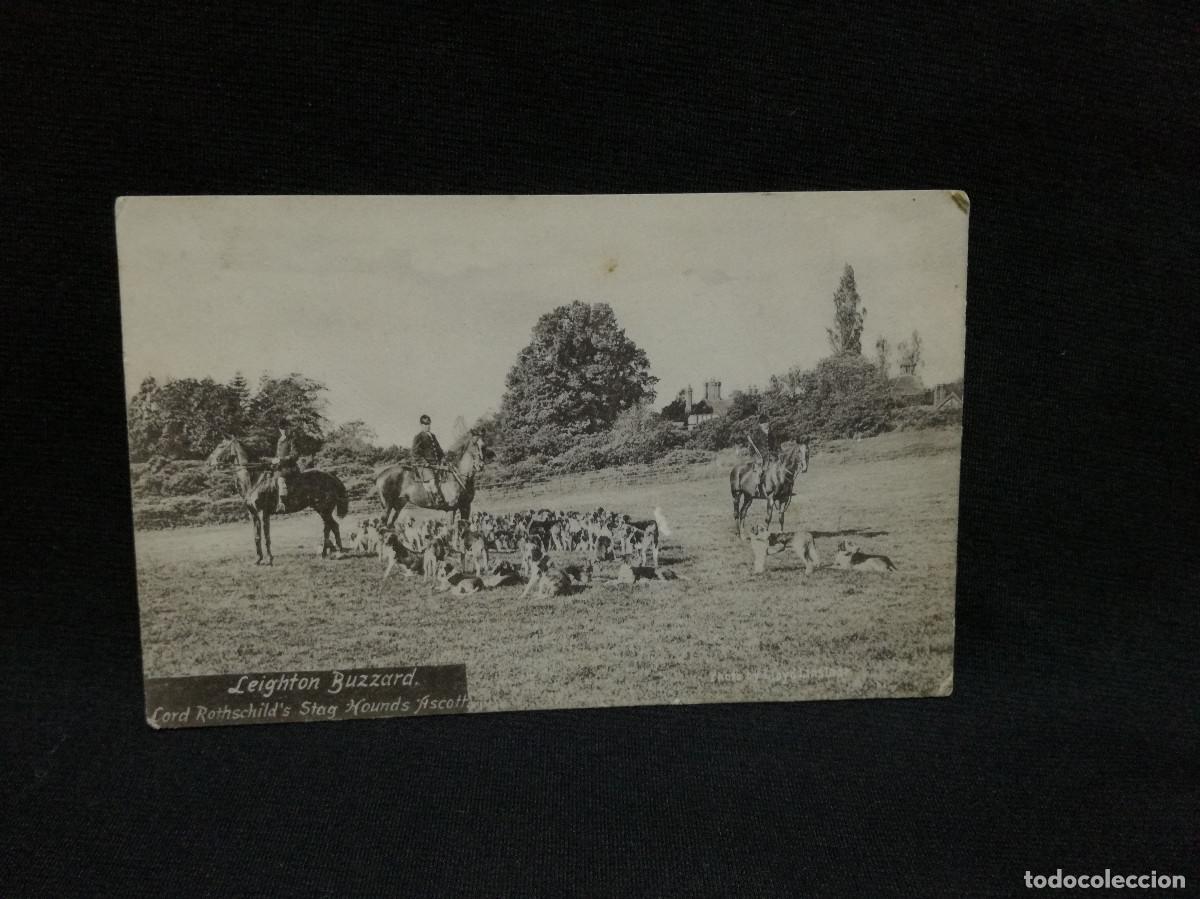 Postais: POSTAL - LEIGHTON BUZZARD - LORD ROTHSCHILD'S STAG HOUNDS ASCOTT - SELLADA EN BLETCHLEY 1905