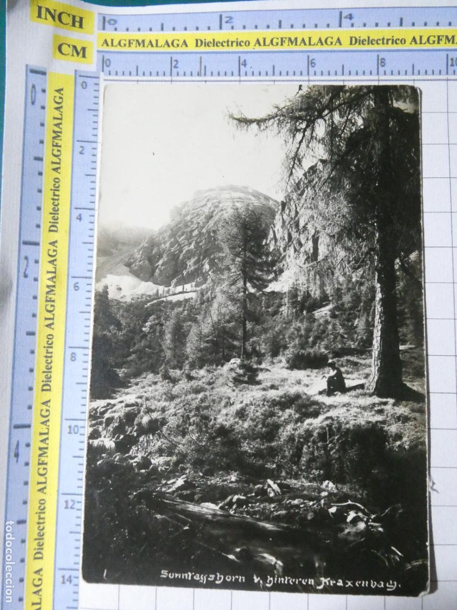 Postales: ANTIGUA POSTAL DE AUSTRIA. SONNTAGSHORN . 1183