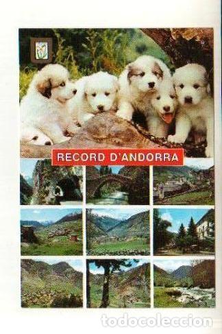 Cartes Postales: POSTAL DE VALLS D&rsquo; ANDORRA - BONITAS VISTAS - LA DE LA FOTO VER TODAS MIS POSTALES