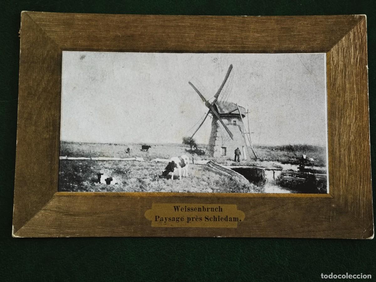 Postal de Holanda Molino