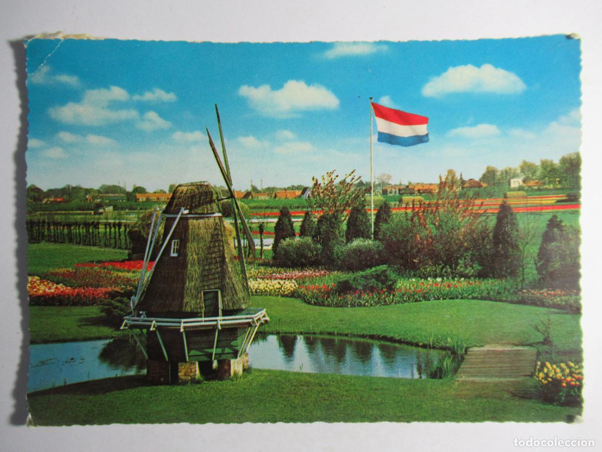 Postais: Holland - Bloemenland. Molenland