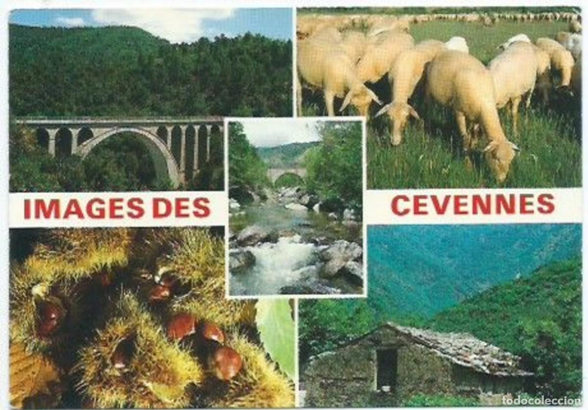 Postais: PONT - MOUTONS - RIVIERES - CHATAIGNES - VIEILLE MAISON.- LES CEVENNES PITTORESQUES / FRANCIA