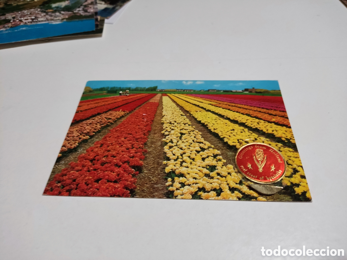Postales: Postal holanda pegatina con olor - Foto 1
