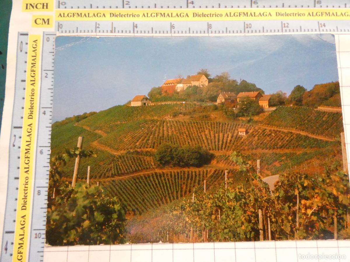 Postais: POSTAL DE ALEMANIA. ORTENAU SCHLOSS STAUFENBERG VI&Ntilde;A VINOS . 2686