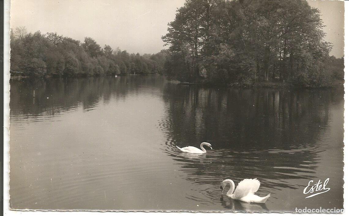 Postales: POSTAL RAMBOUILLET (FRANCE) - LES CANAUX DU CH&Acirc;TEAU - EDIC. ESTEL