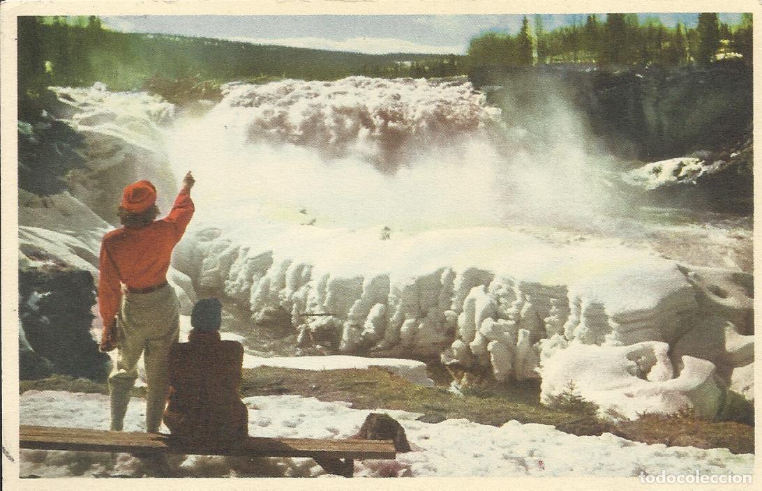 Postales: Jamtland. Ristafallet. Suecia. 9x14 cm. Postal. 1951. Escrita con sello.