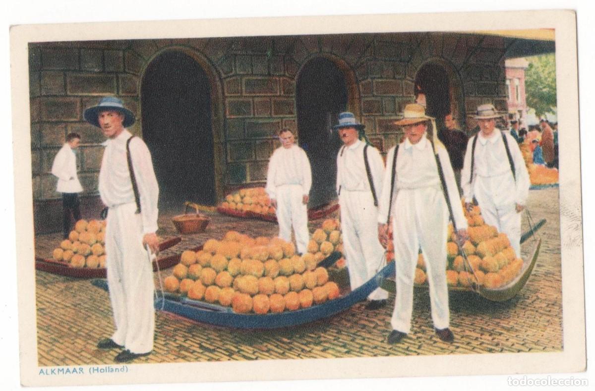 Cartes Postales: ALKMAAR-HOLANDA-TRANSPORTE DE FRUTA- PRINCIPIOS DEL XX-SIN CIRCULAR-
