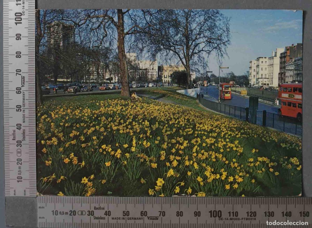 Postales: POSTAL. HYDE PARK LONDON - Foto 1