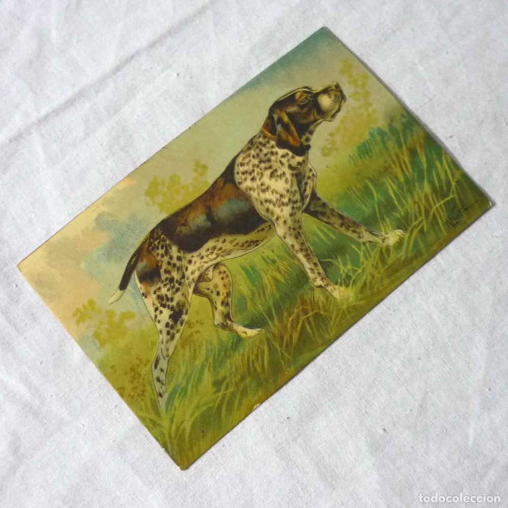 Cartoline: Tarjeta postal perro de caza Francia circulada 1929