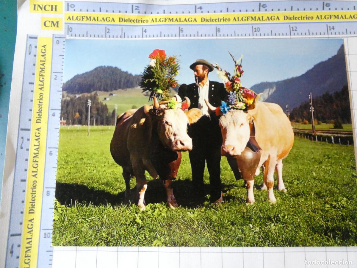 Cartes Postales: POSTAL DE SUIZA. FOLKLORE TIPISMO SUIZO. D&Iacute;A DE FIESTA EN LOS ALPES . 1651