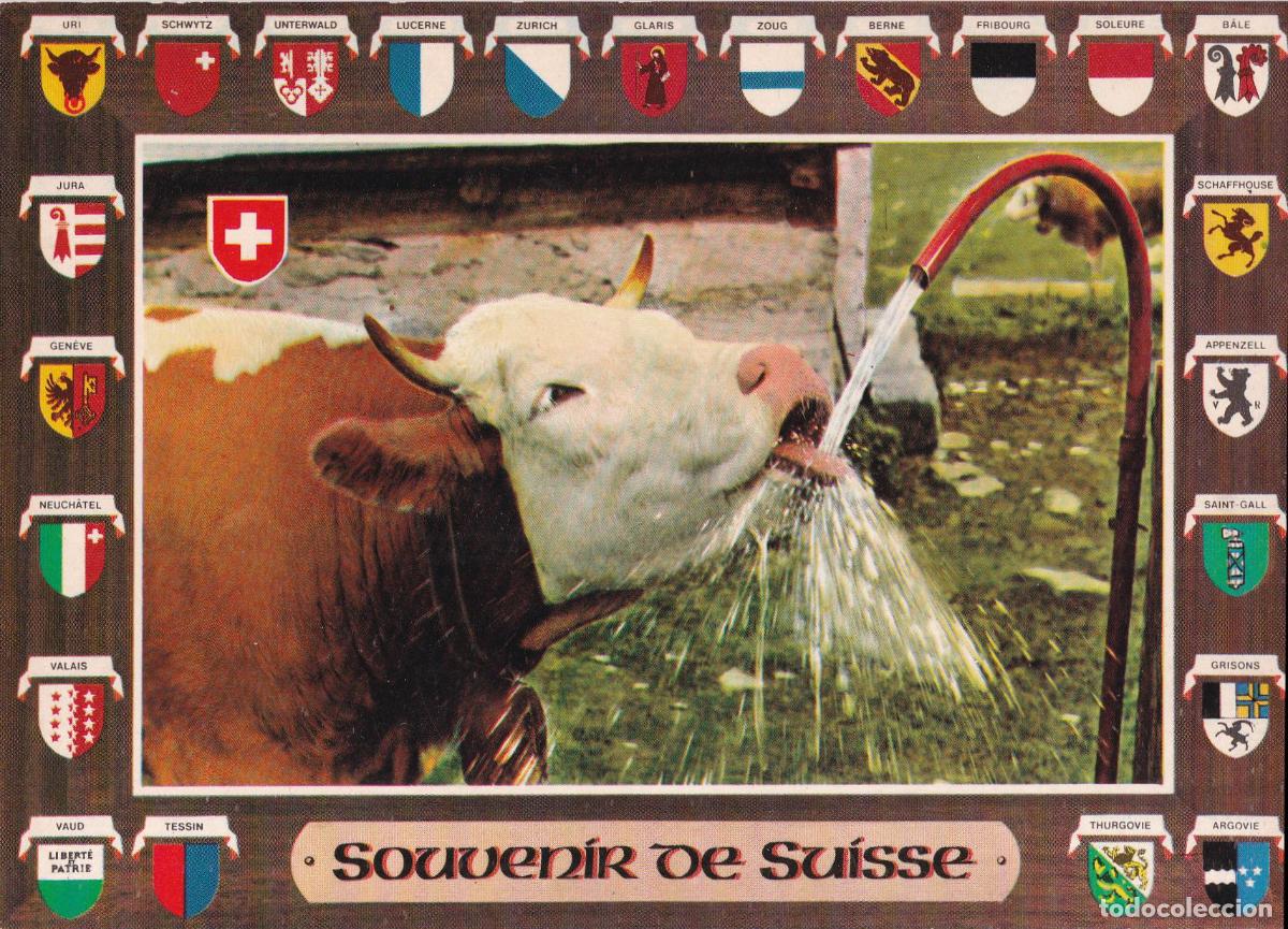 Postales: SUIZA, SOUVENIR DE SUISSE, ESCUDOS DE LOS CANTONES &ndash; PERROCHET 7093 &ndash; S/C