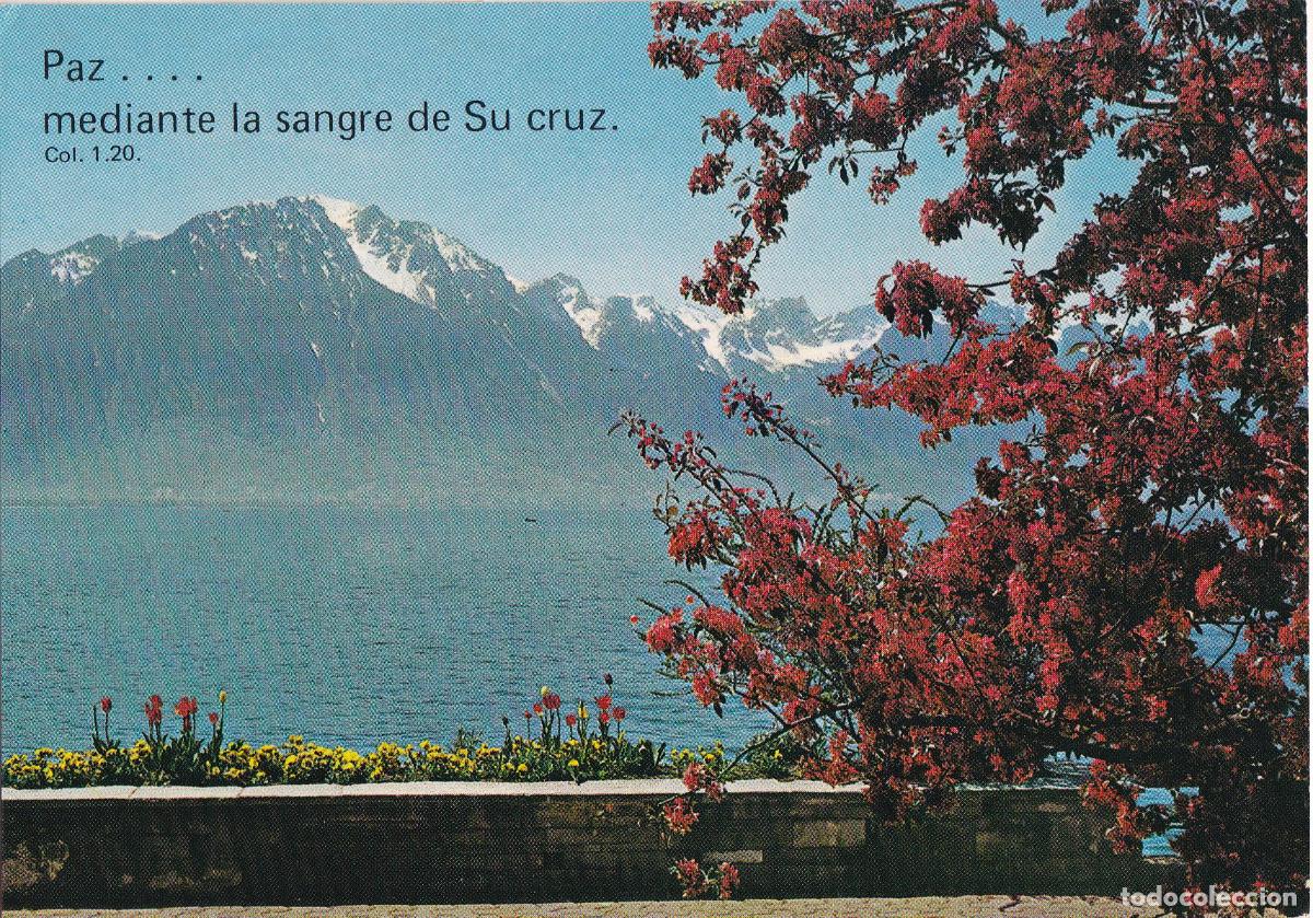 Postales: SUIZA, LAGO DE GINEBRA, MENSAJE - VITANOVA N&ordm;14 - S/C