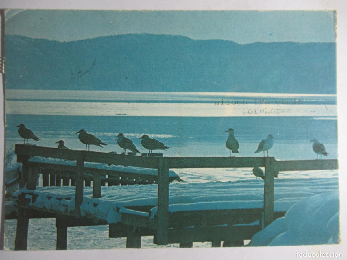 Postales: Noruega - Circulada. - Foto 1