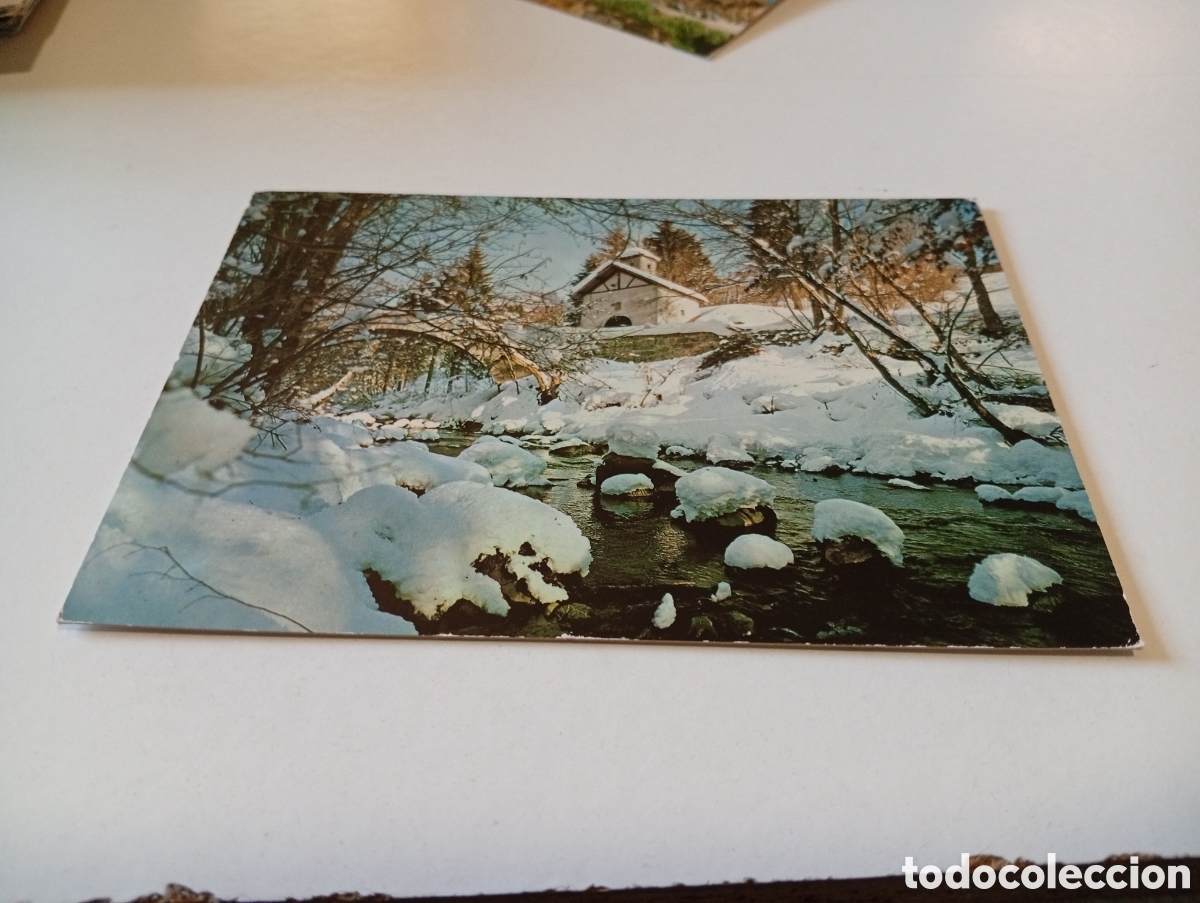Postales: Postal Hiver en savoie,cu&ntilde;o Forest Ski piscina