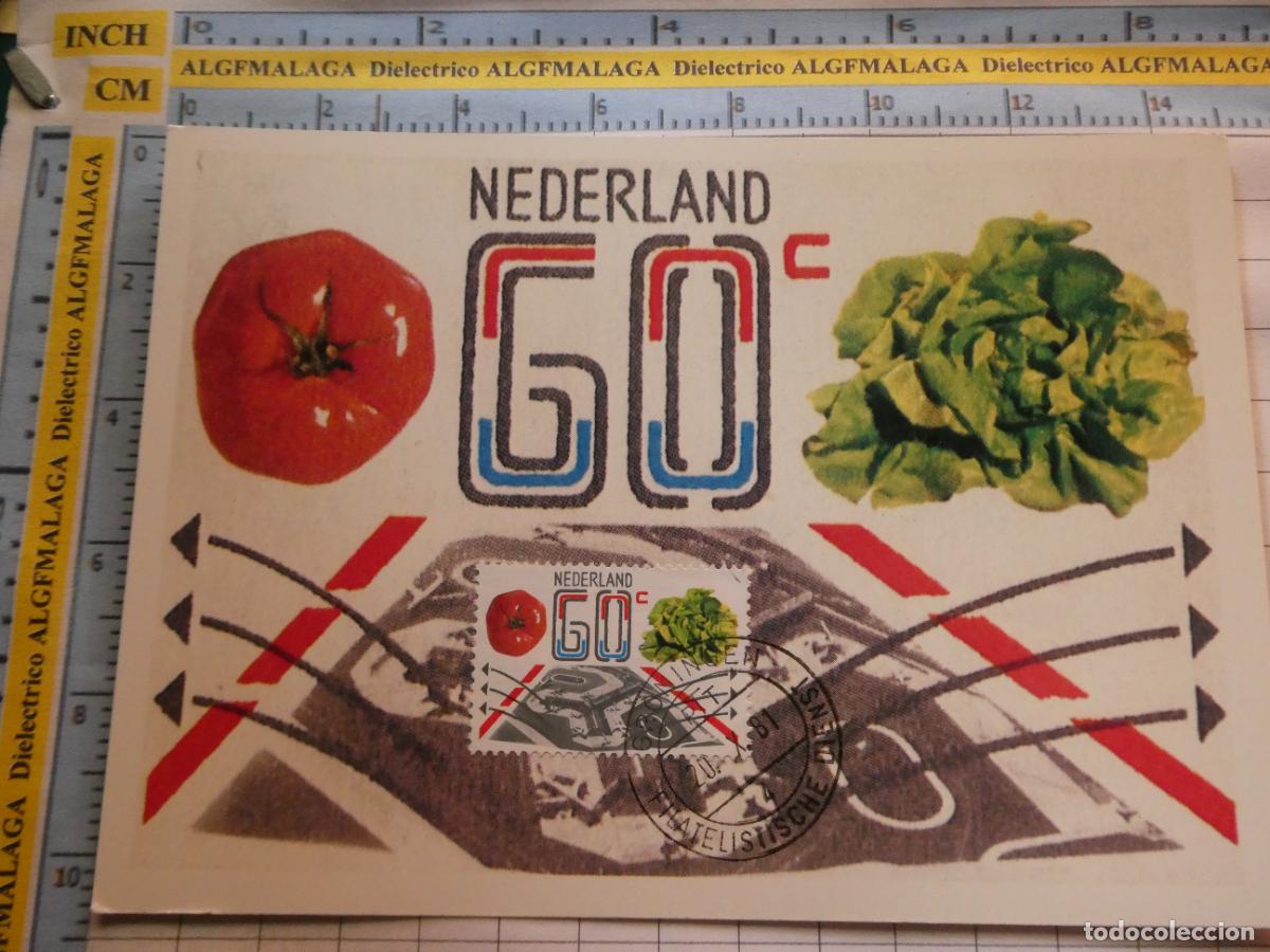 Postais: POSTAL DE PA&Iacute;SES BAJOS HOLANDA. PRIMER D&Iacute;A SELLO MATASELLO. EXPORTACIONES AGRARIAS. 1137