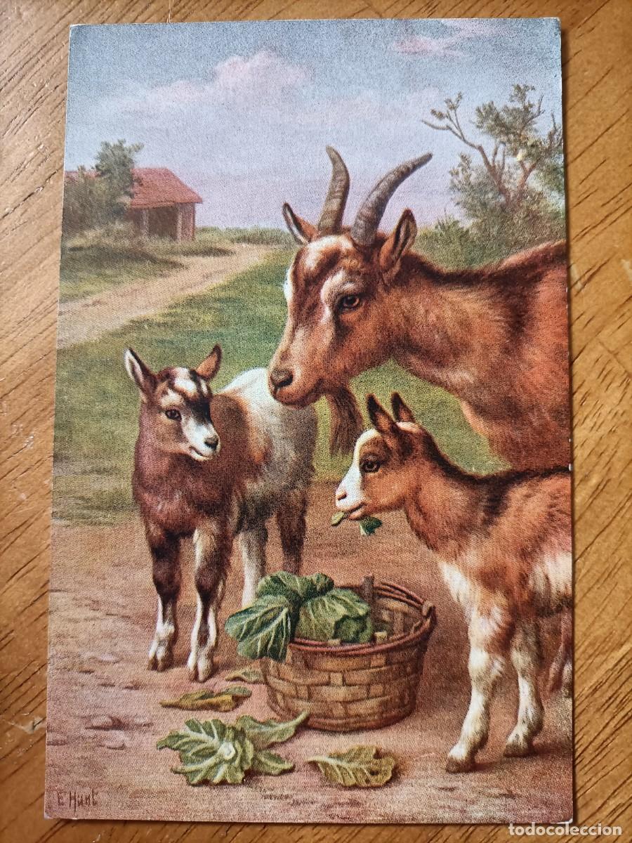Postales: POST CARD - PRINTED IN ENGLAND SC - Foto 1