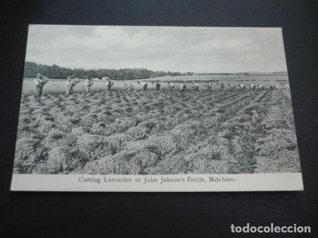 Postcards: MITCHAM INGLATERRA POSTAL