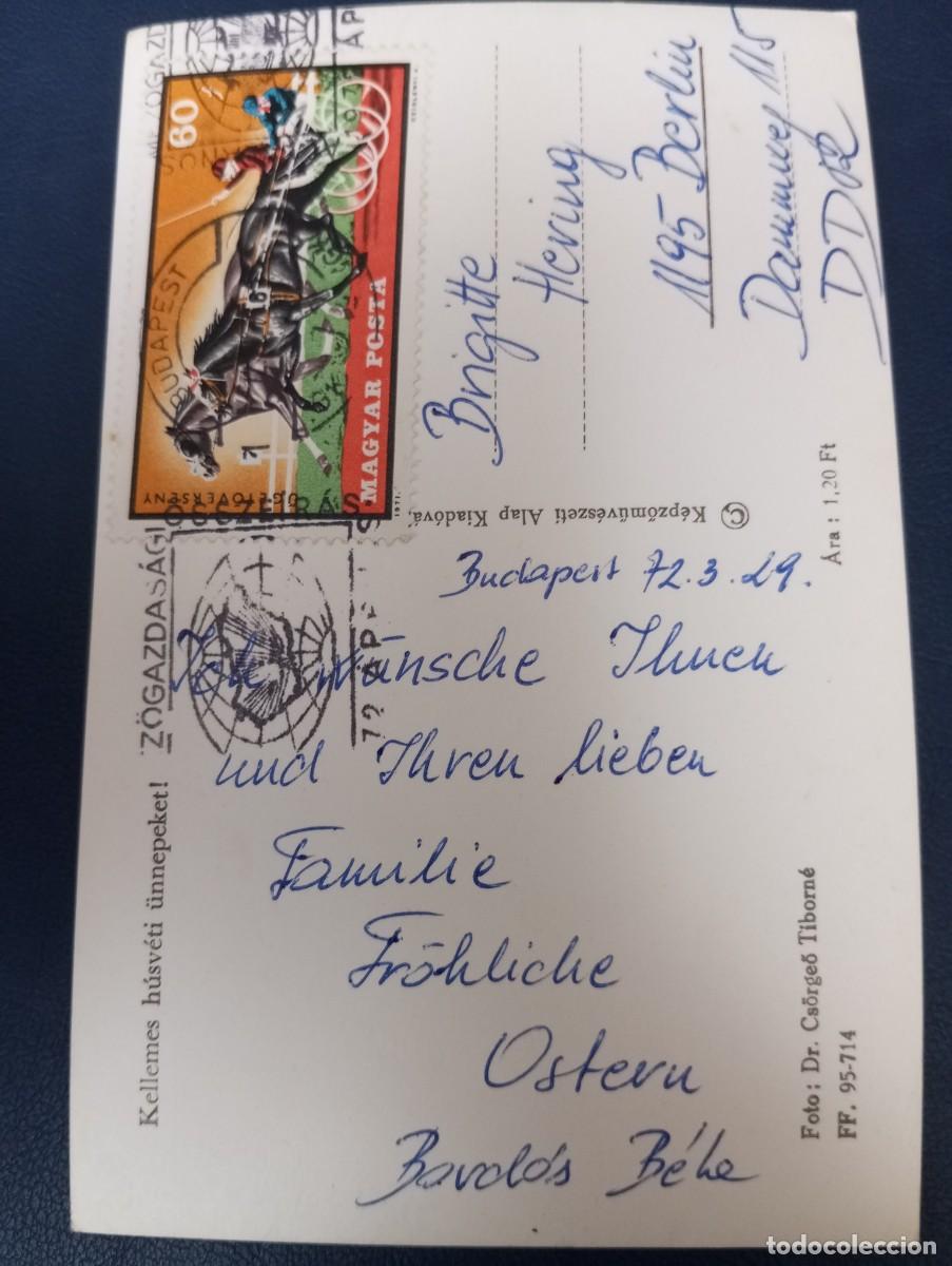 Postales: POSTAL DE HUNGR&Iacute;A, 1972, POLLITOS, CIRCULADA - Foto 2