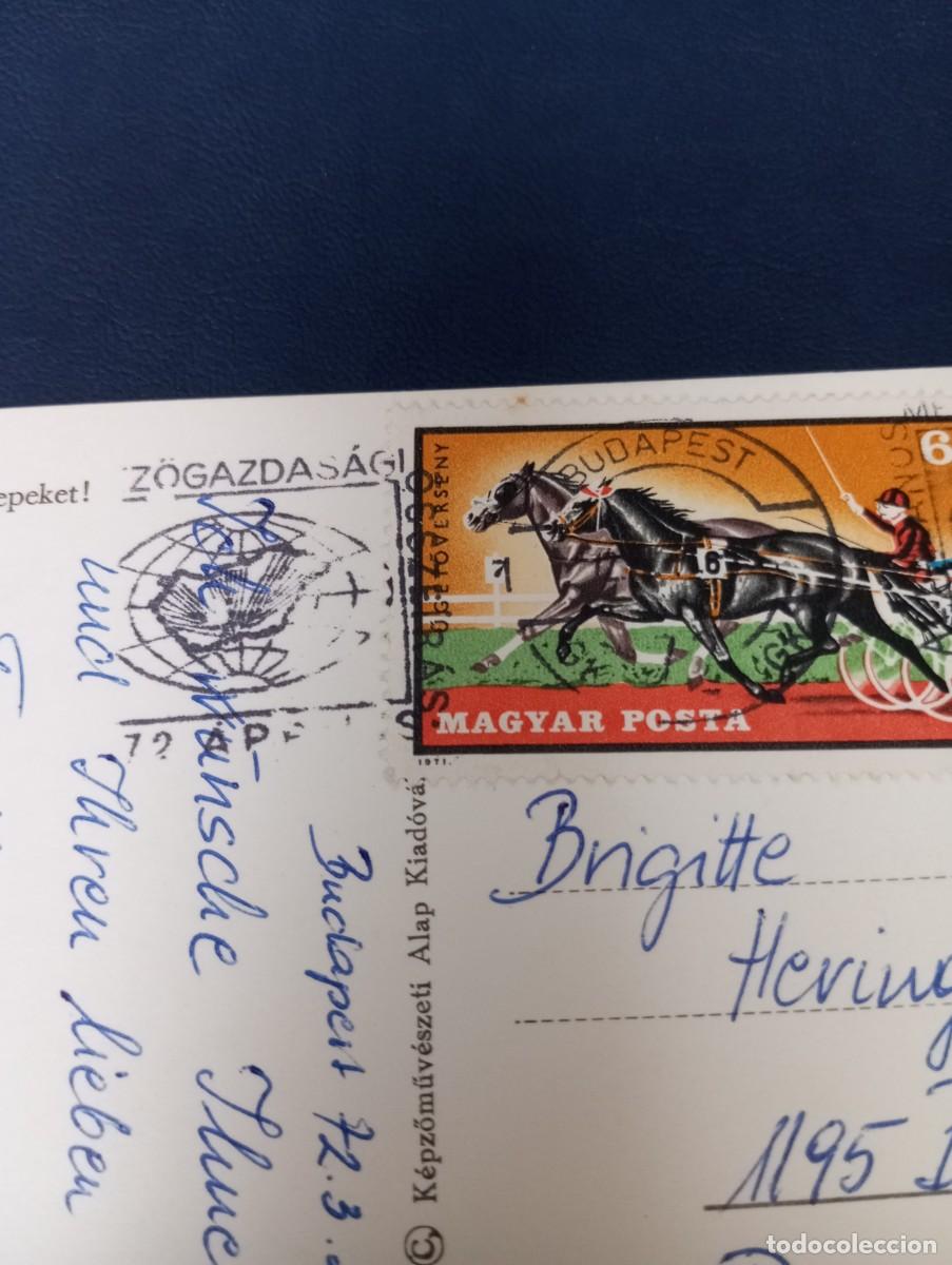 Postales: POSTAL DE HUNGR&Iacute;A, 1972, POLLITOS, CIRCULADA - Foto 3
