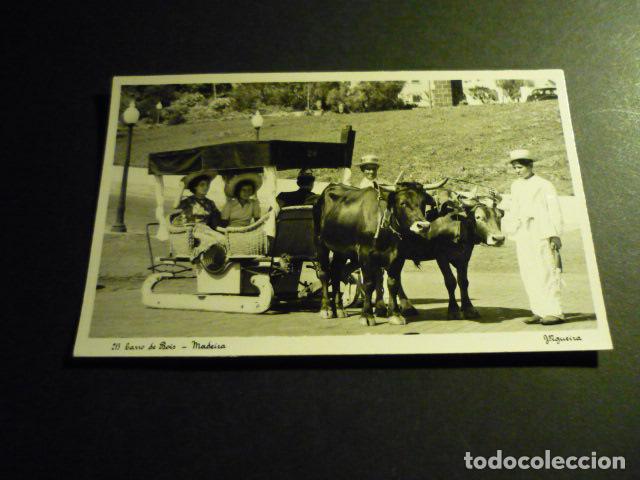 Cartes Postales: MADEIRA PORTUGAL POSTAL