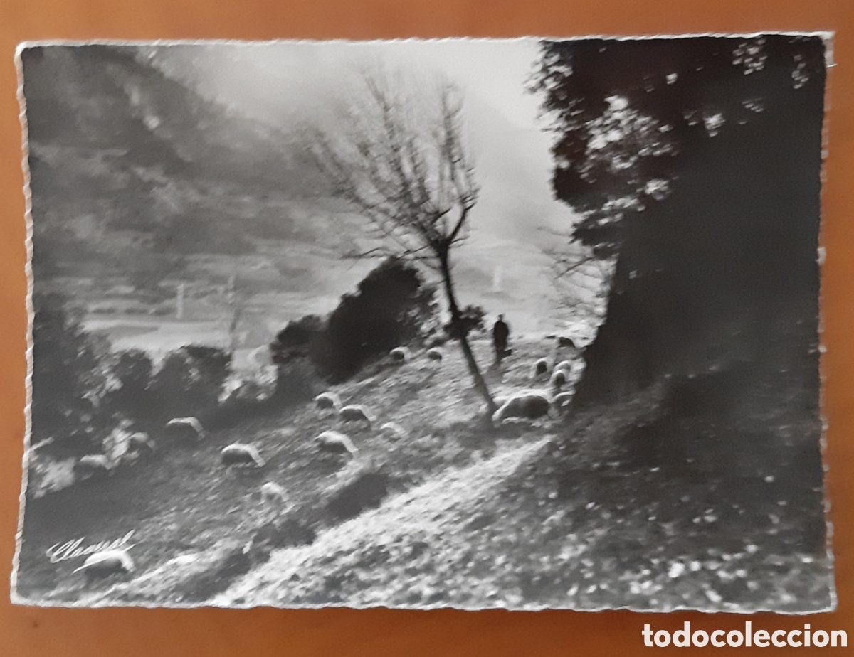 Cartoline: Postal Andorra. Contraluz. Escrita sin circular. R8761