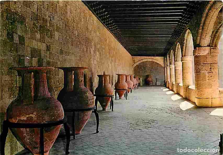 Postais: Gr&egrave;ce - Rhodes - Le Mus&eacute;e - Carte Vierge - CPM - Voir Scans Recto-Verso