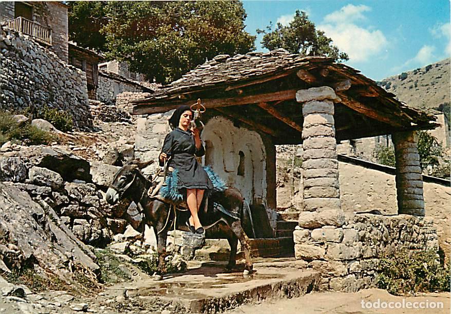 Cartoline: Gr&egrave;ce - Village Grecque - En filant &agrave; la fontaine - Anes - Folklore - Carte Neuve - CPM - Voir Scans