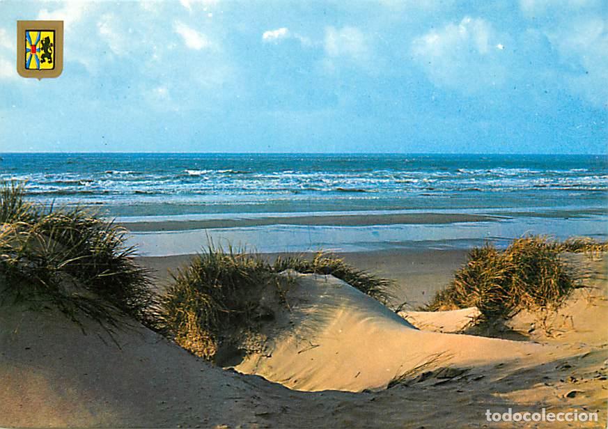 Postkarten: Belgique - La Cote Belge - Un bonjour de la c&ocirc;te belge - Dunes - Blasons - Carte Neuve - CPM - Voir