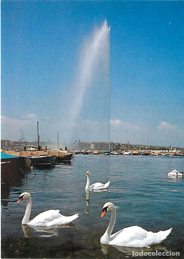 Cartes Postales: Suisse - GE Gen&egrave;ve - Gen&egrave;ve - Le Jet d'eau - Cygnes - CPM - Carte Neuve - Voir Scans Recto-Verso